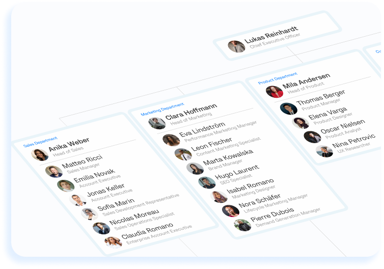 Organizational chart software for visualizing company structure and reporting lines